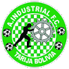 Industrial FC